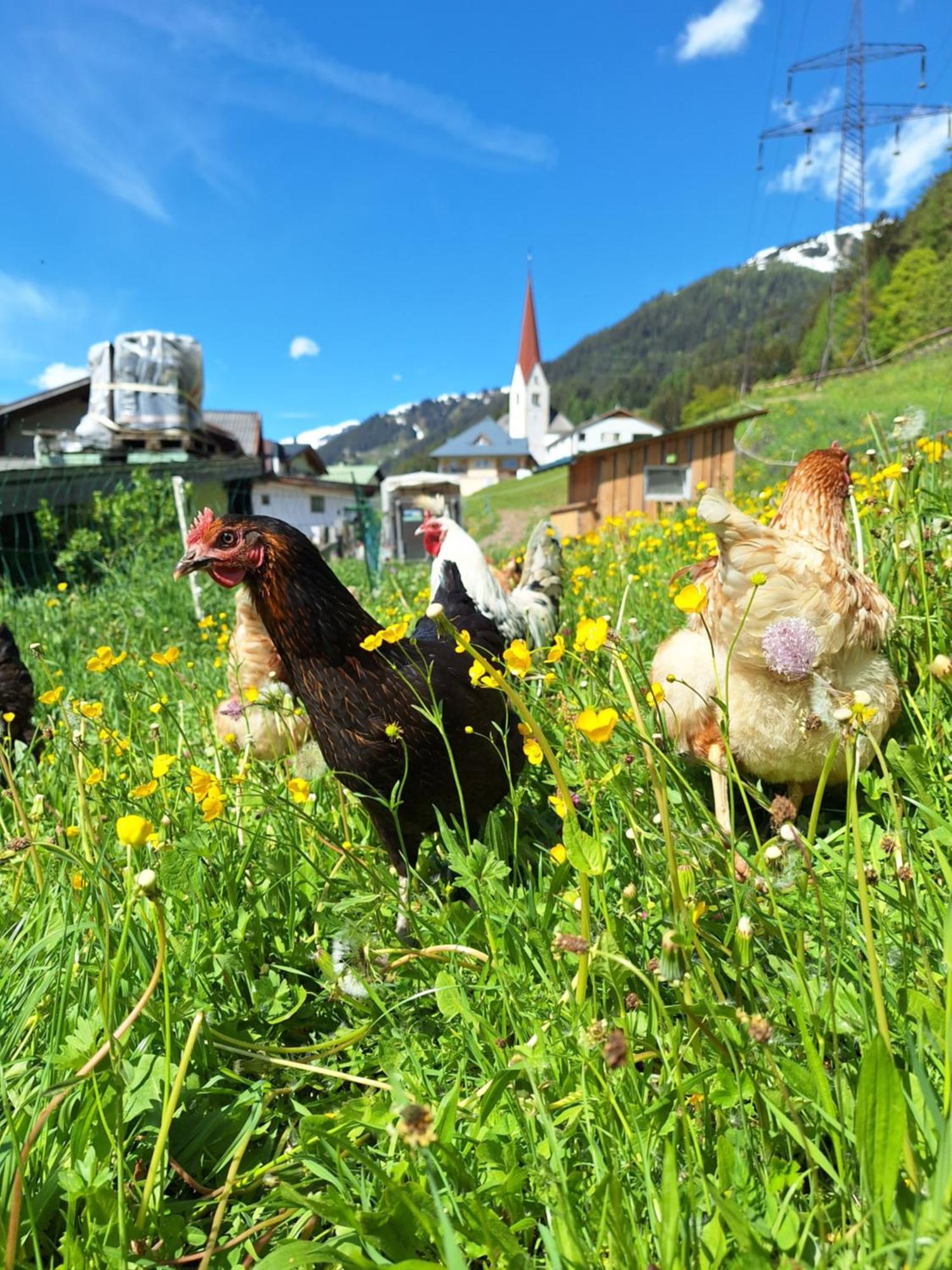 Gsoerhof Apartment St. Anton am Arlberg Exterior foto